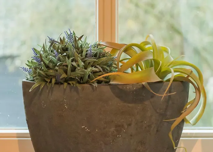 Séjour à la ferme W Free Parking, View & Space