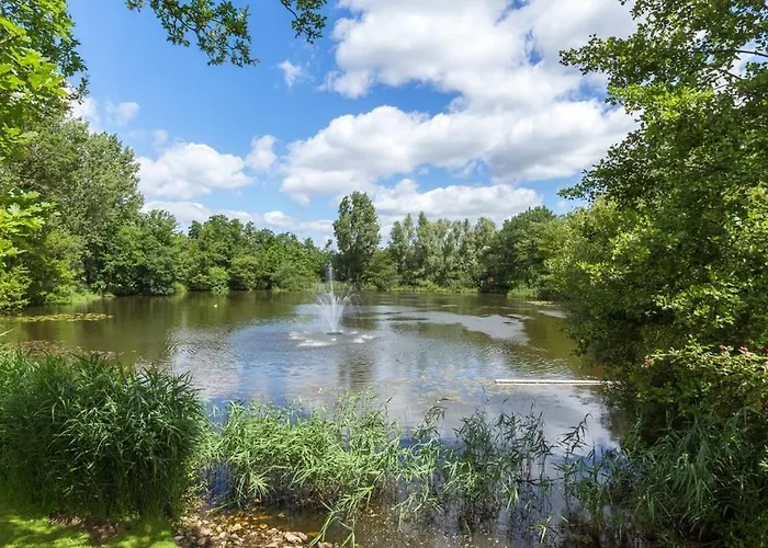 W Free Parking, View & Space