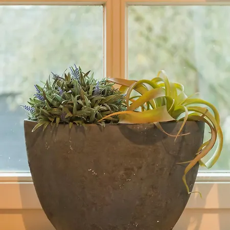 Farm stay W Free Parking, View & Space