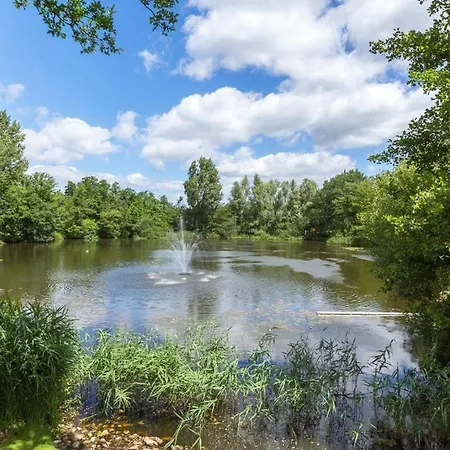 W Free Parking, View & Space