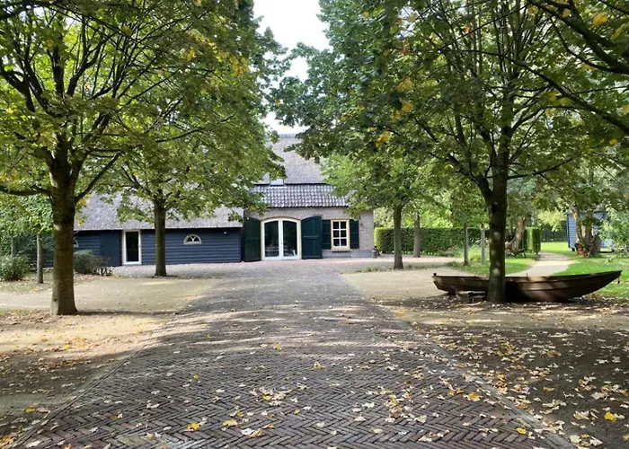 W Free Parking, View & Space